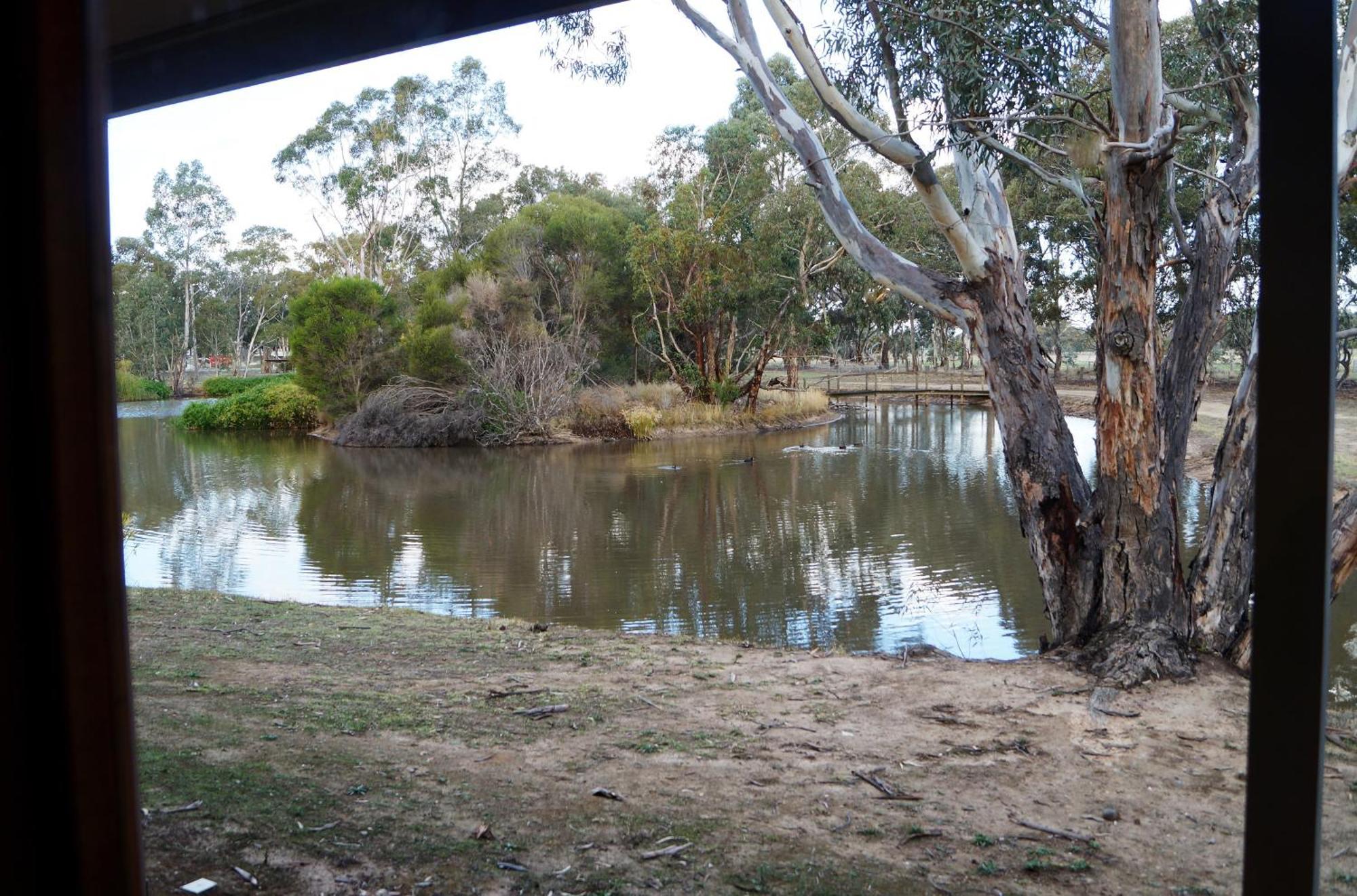 Magdala Motor Lodge & Lakeside Restaurant Stawell Rom bilde