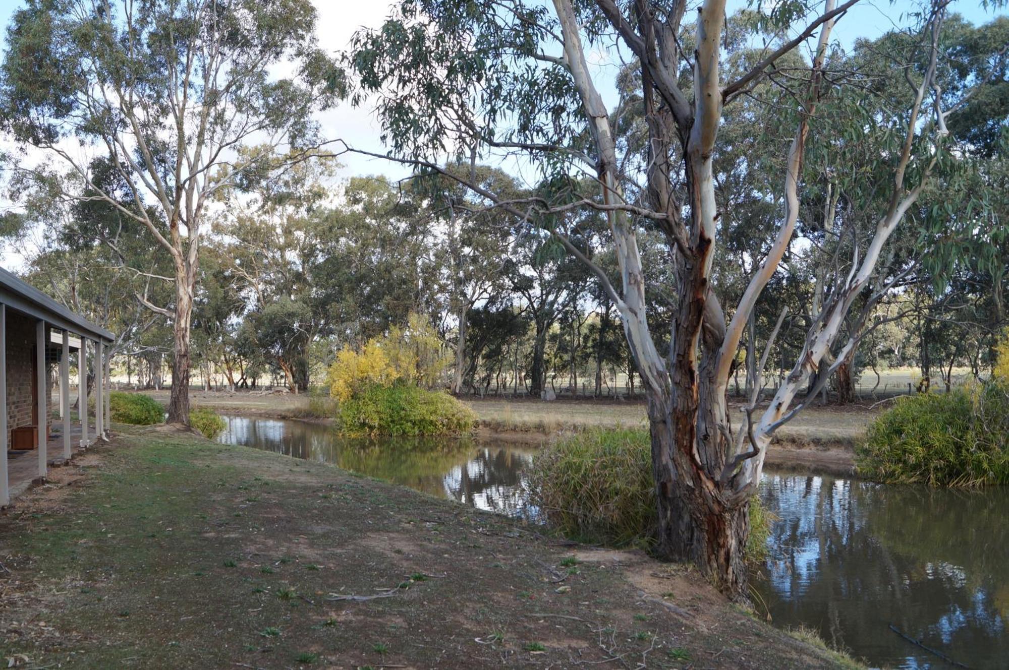 Magdala Motor Lodge & Lakeside Restaurant Stawell Rom bilde