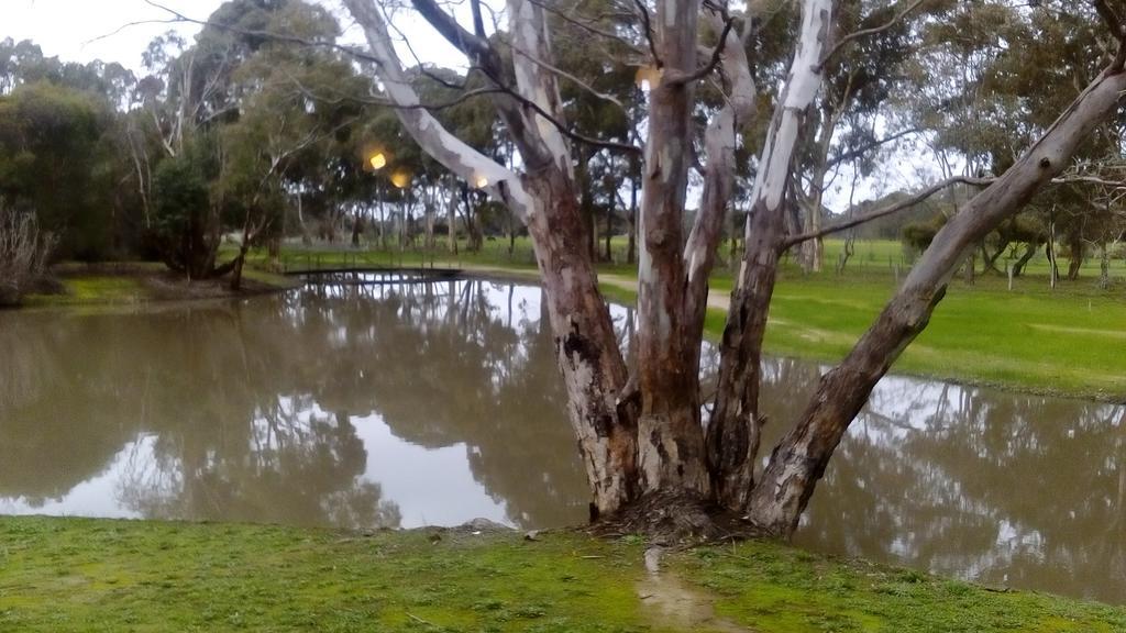 Magdala Motor Lodge & Lakeside Restaurant Stawell Eksteriør bilde