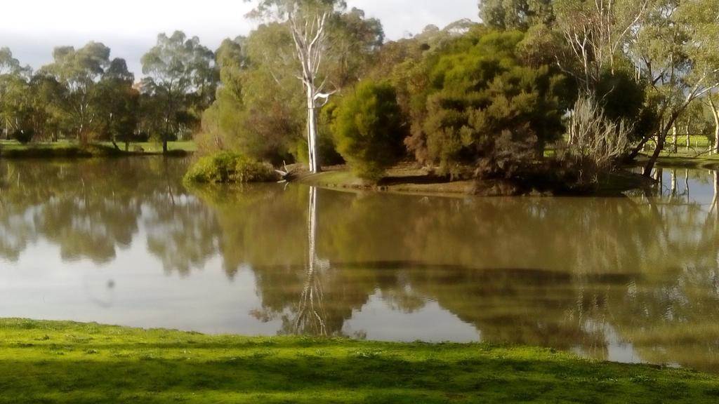 Magdala Motor Lodge & Lakeside Restaurant Stawell Eksteriør bilde